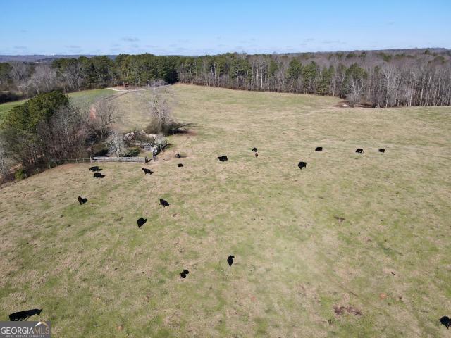 Land for sale in Georgia