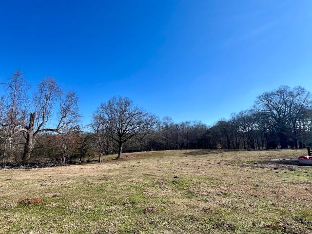 Land for sale in Waco, Georgia