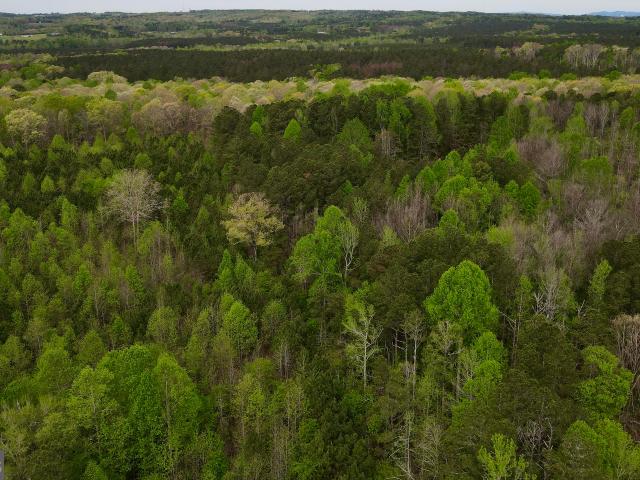 Land for sale in Waco, Georgia
