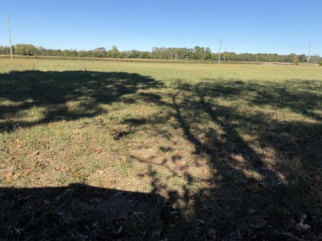 Land for sale in Bell Buckle, Middle Tennessee