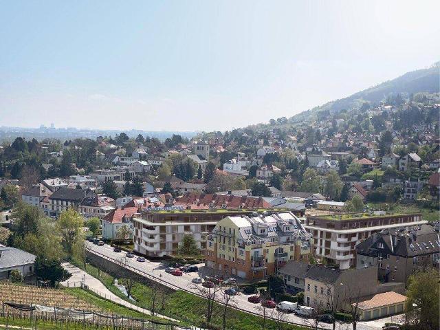 Apartment kaufen in Weidling, Klosterneuburg