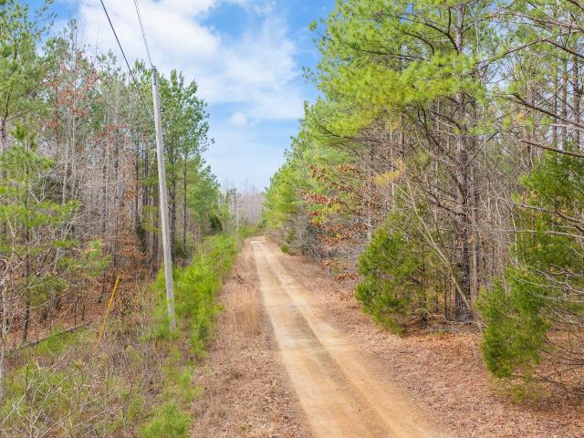 Land for sale in Tennessee