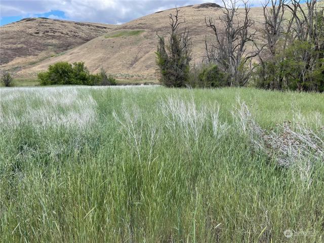 Land for sale in Dayton, Washington