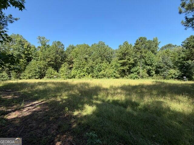 Land for sale in Crawfordville, Georgia