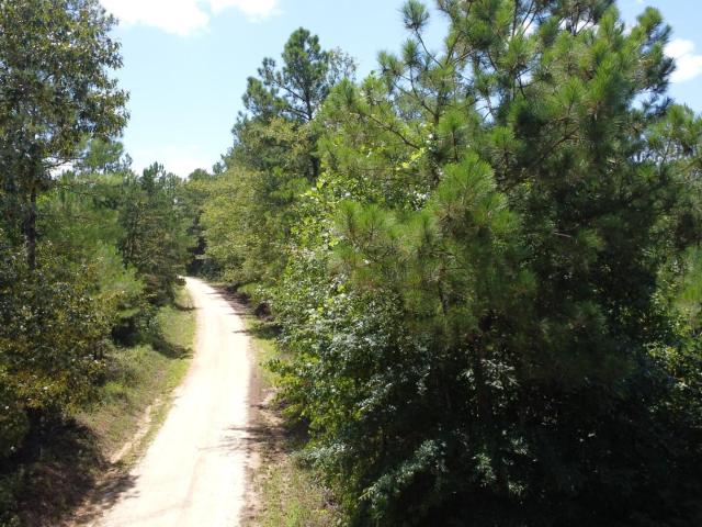 Land for sale in Crawfordville, Georgia