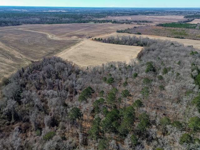 Land for sale in Dawson, Georgia