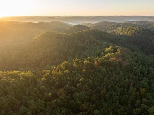 Land for sale in Vanceburg, Kentucky