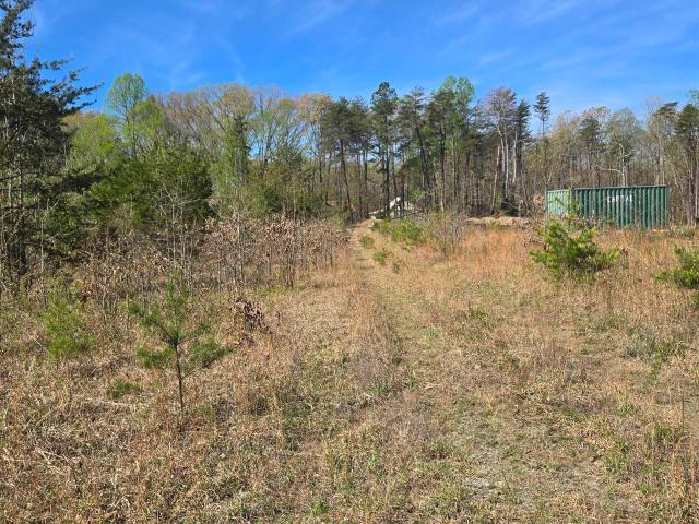 Land for sale in Centreville, Mineral