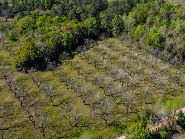 Land for sale in Candler, Georgia