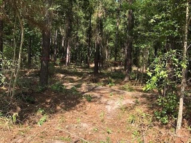 Land for sale in Groveton, Texas