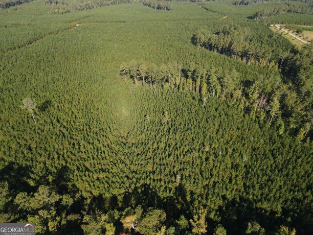 Land for sale in Rudden, Eatonton