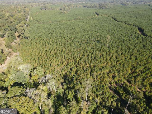 Land for sale in Rudden, Eatonton