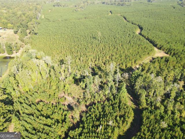 Land for sale in Rudden, Eatonton