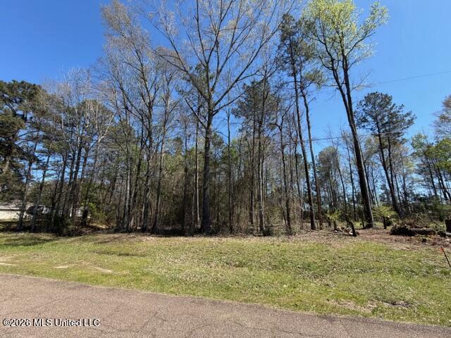 Land for sale in Petal, Mississippi