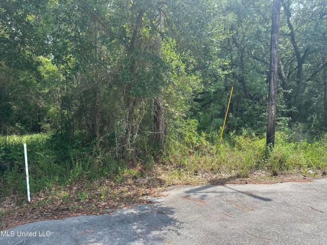 Land for sale in Pass Christian, Mississippi