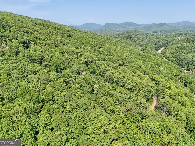 Land for sale in Clayton, Georgia