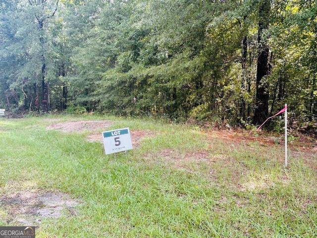 Land for sale in Wrens, Georgia