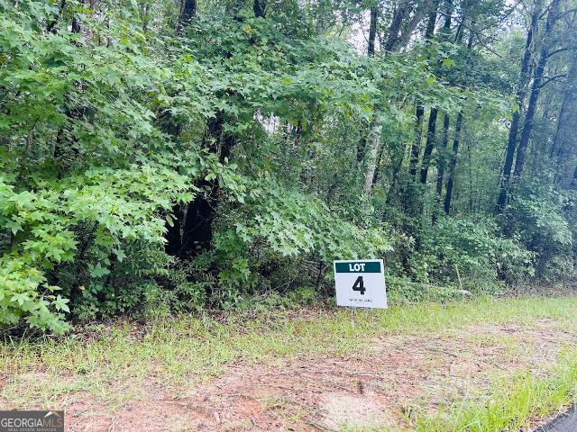 Land for sale in Wrens, Georgia