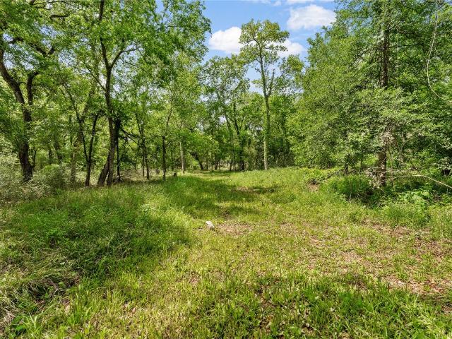 Land for sale in Damon, Texas