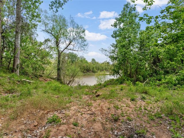 Land for sale in Damon, Brazoria County