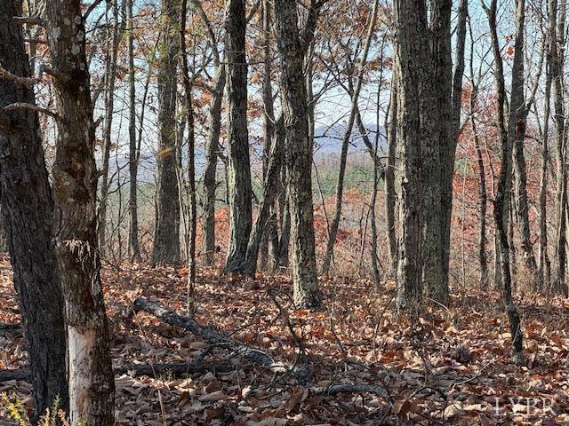 Land for sale in Virginia