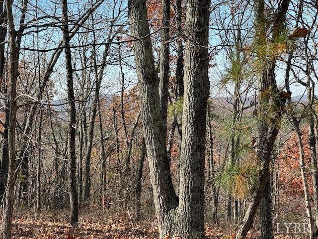 Land for sale in Virginia