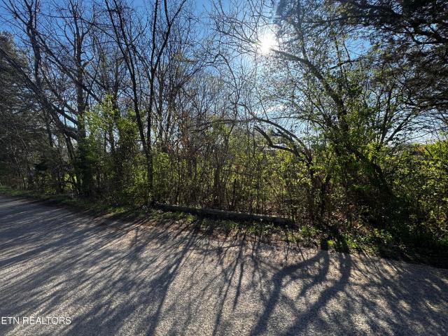 Land for sale in Tennessee