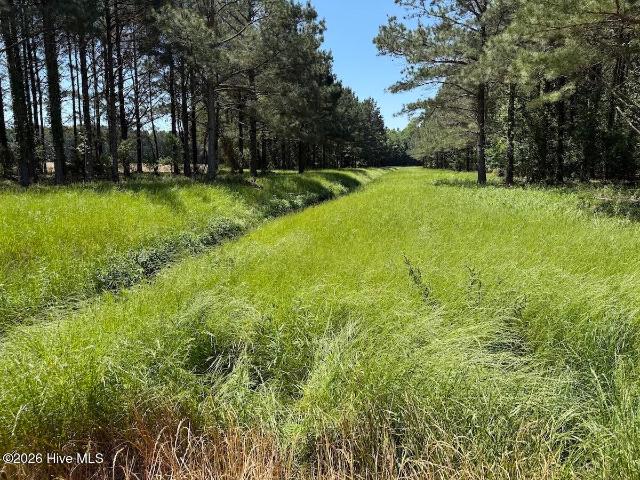 Land for sale in Robersonville, North Carolina