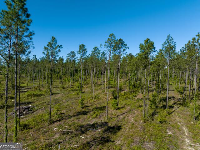 Land for sale in Lowndes, Georgia