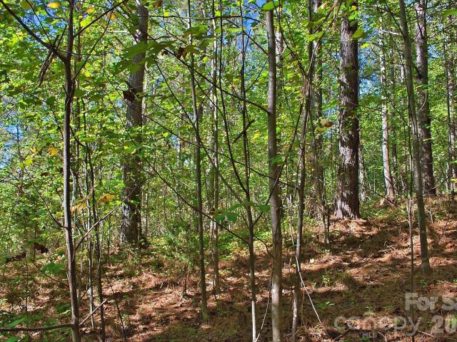 Land for sale in Rutherford County, North Carolina
