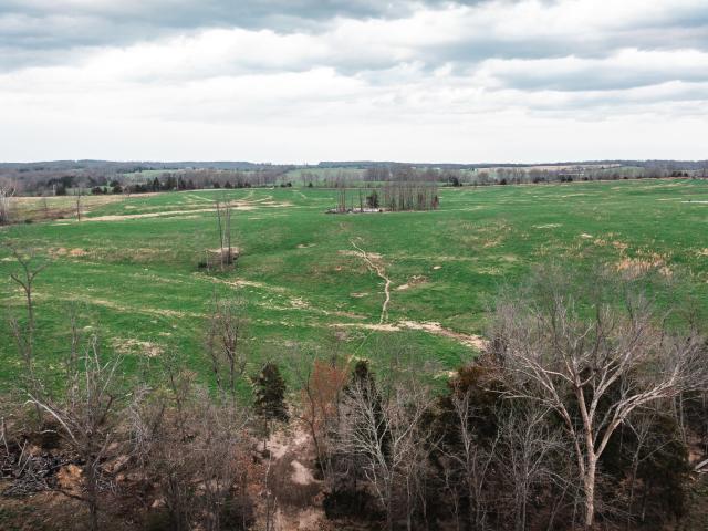 Land for sale in Licking, Missouri