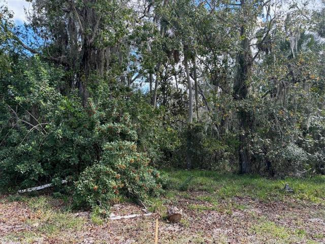 Land for sale in Aripeka, Florida