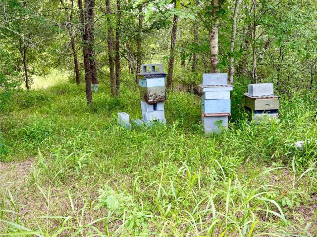 Land for sale in Bellville, Texas