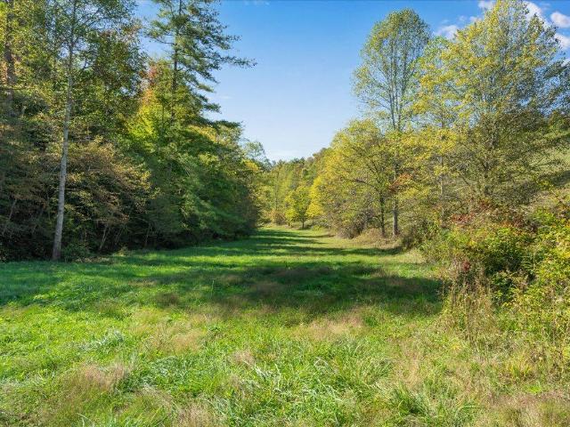 Land for sale in Wolfe, Kentucky
