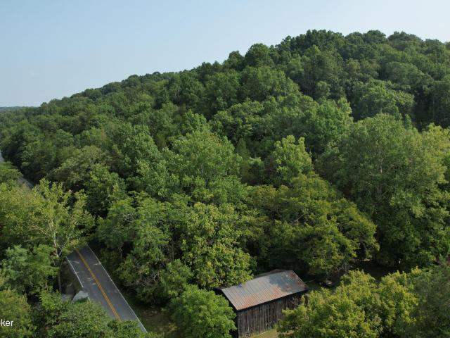 Land for sale in Sparta, Kentucky
