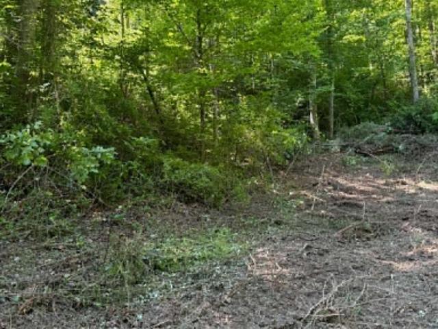Land for sale in Elliott, Kentucky