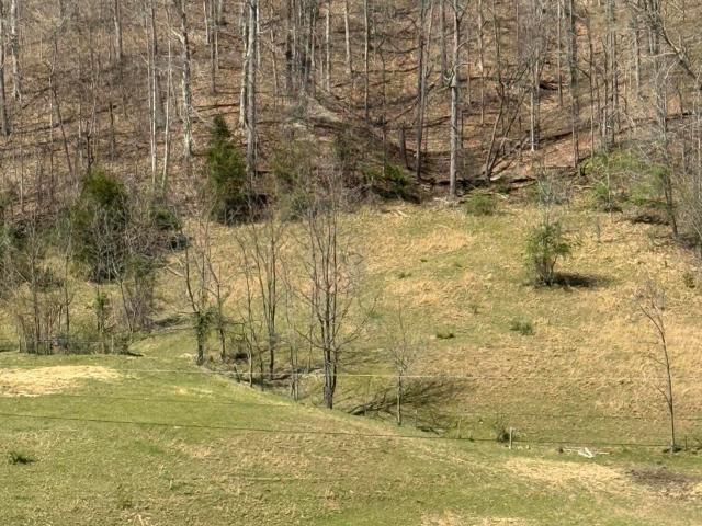 Land for sale in Tennessee
