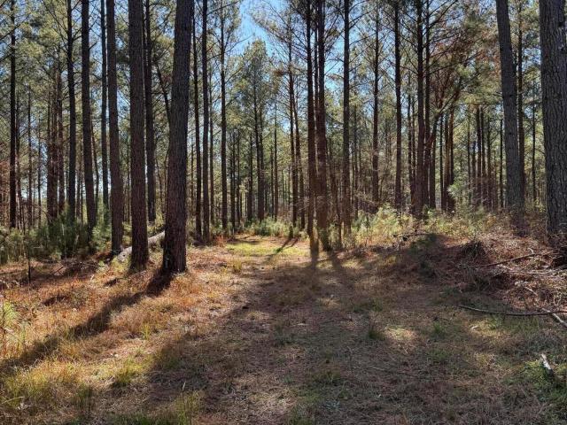 Land for sale in Plum Branch, South Carolina