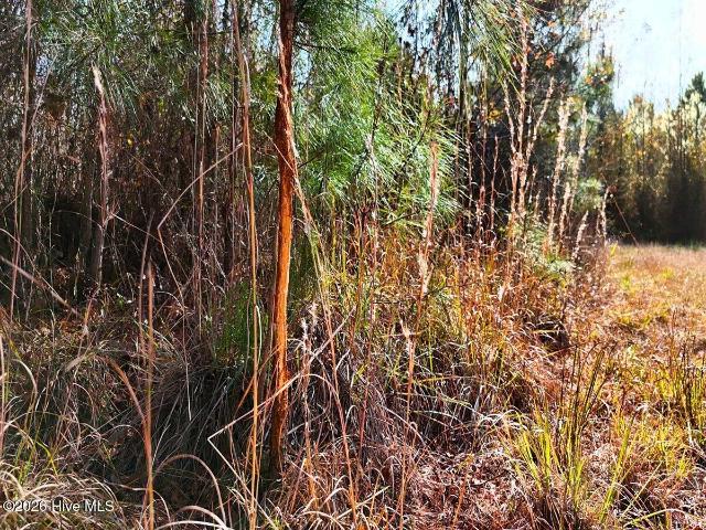 Land for sale in La Grange, North Carolina