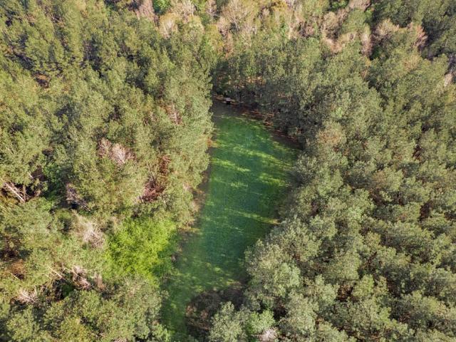 Land for sale in Saint Helena, Louisiana
