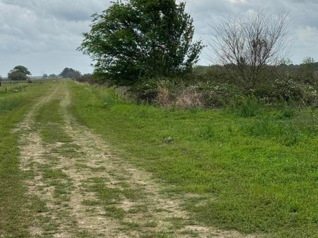 Property for sale in Saint Martin, Louisiana