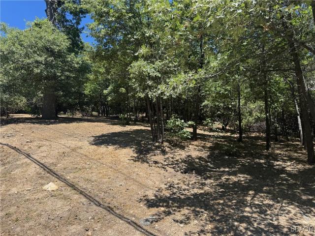 Land for sale in Cedar Glen, California