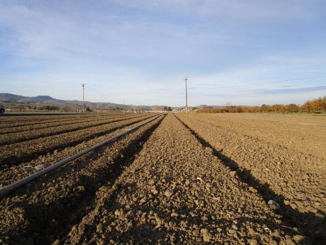 Land for sale in Hollister, California