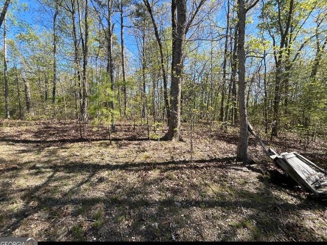 Land for sale in Georgia