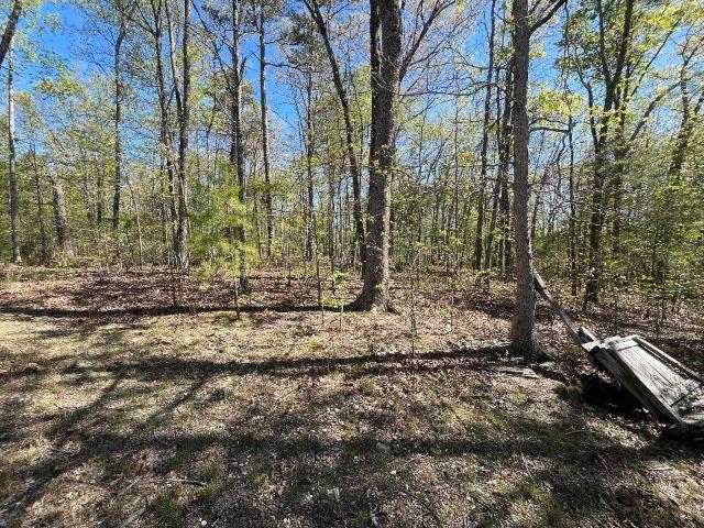 Land for sale in Georgia