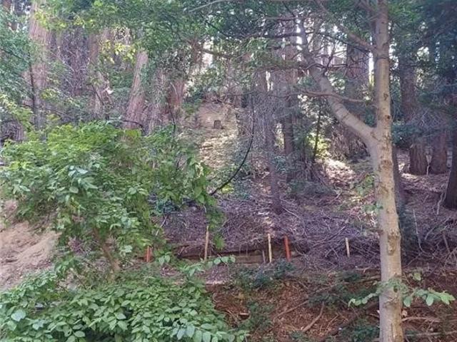 Land for sale in Cedar Glen, California