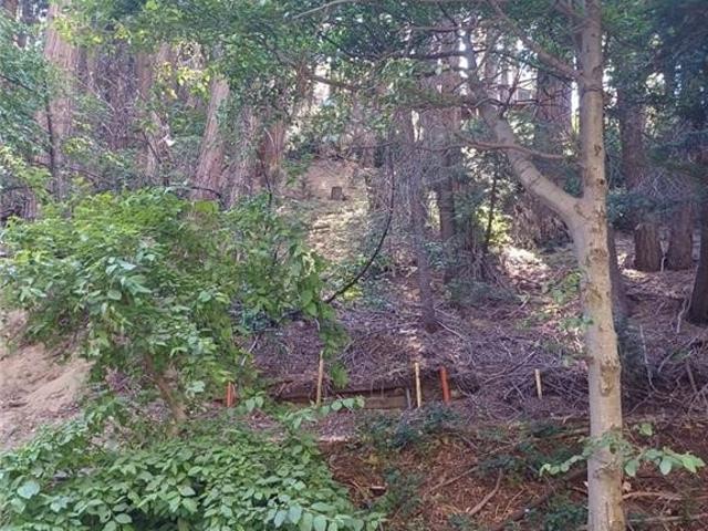 Land for sale in Cedar Glen, California