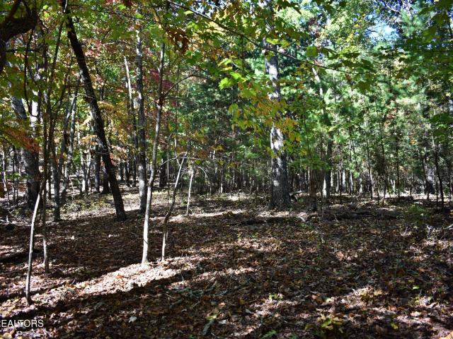 Land for sale in Spring City, East Tennessee