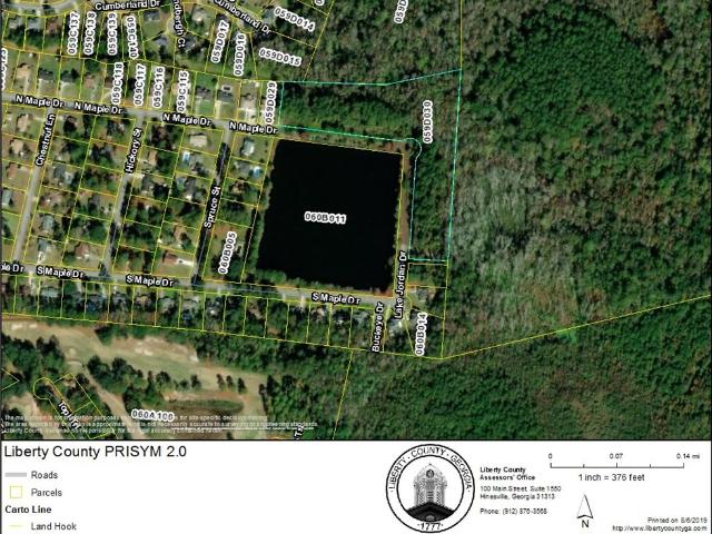 Land for sale in Hinesville, Liberty County