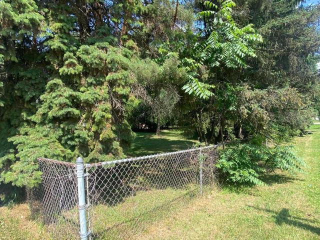 Land for sale in Bailey, Michigan